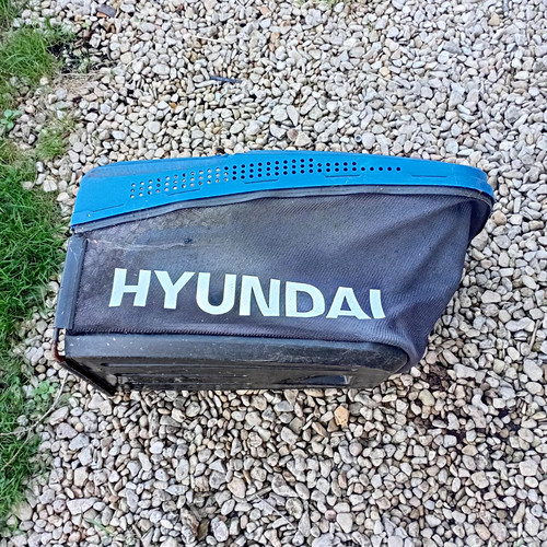 Hyundai lawn mower grass - lawn,